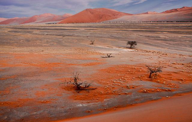 081 Sossusvlei.JPG